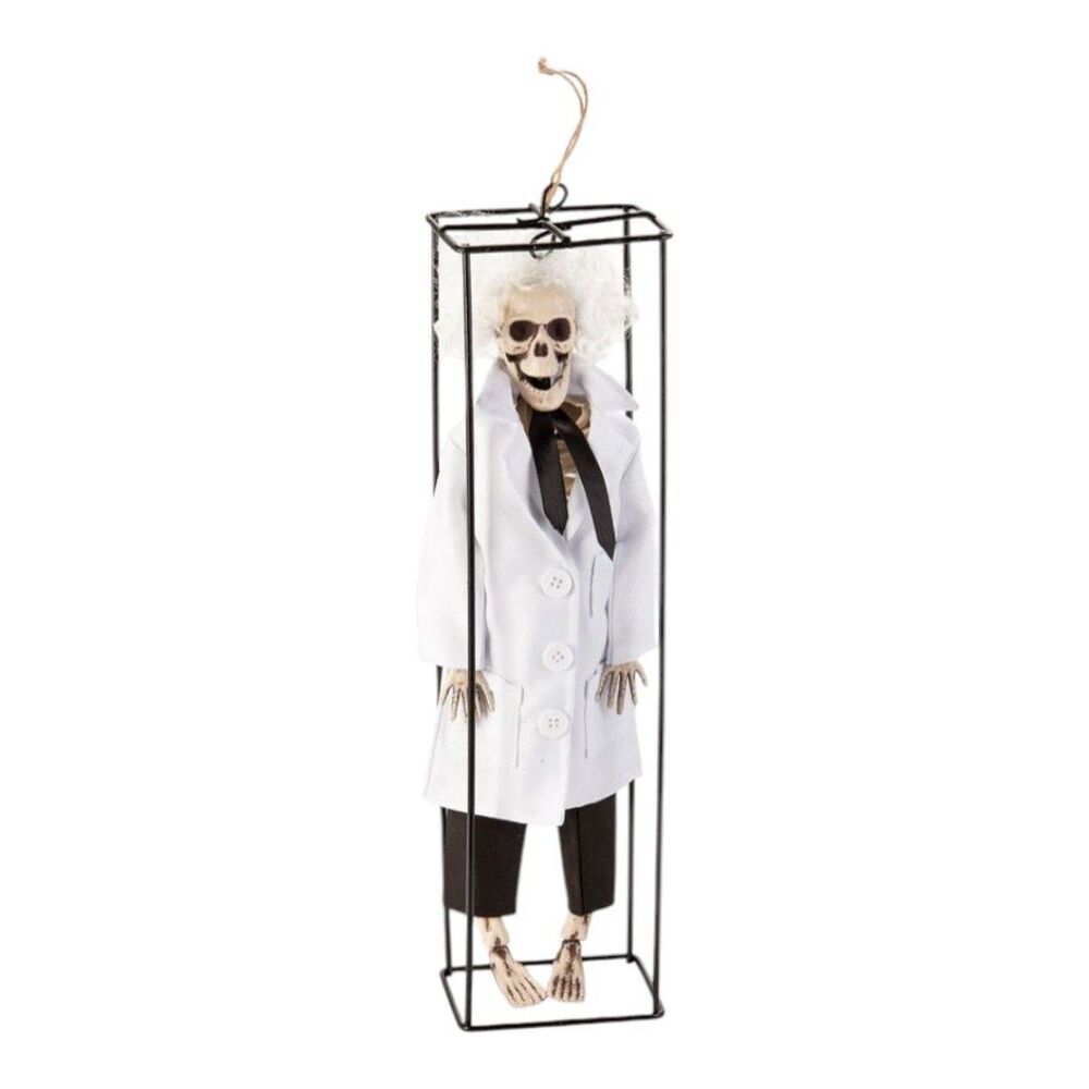 Hanging Skeleton Scientist Professor Holiday Tabletop Decor Seasonal Lab Coat